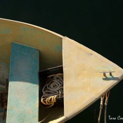 Yellow Boat:" © photograph Tara Conant.